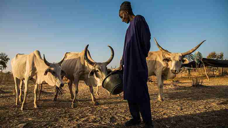 Projet régional d'appui au pastoralisme au Sahel