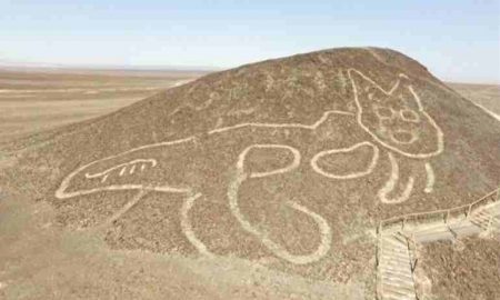 Pérou : le géoglyphe d’un chat géant découvert dans le désert de Nazca