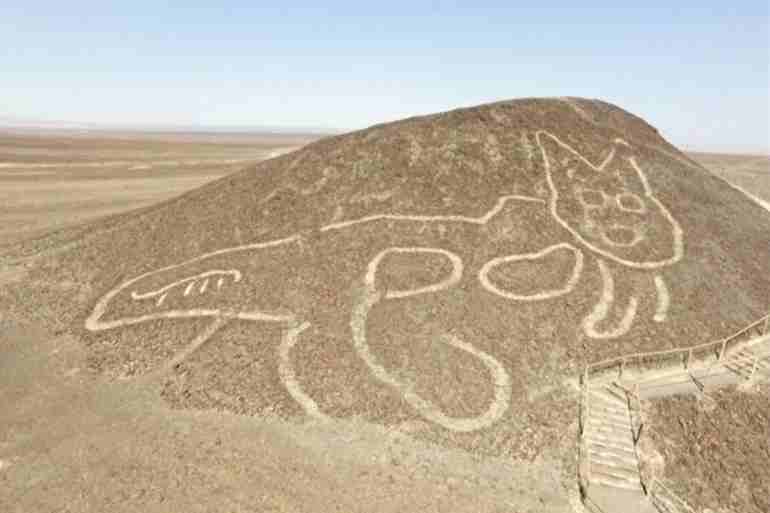 Pérou : le géoglyphe d’un chat géant découvert dans le désert de Nazca