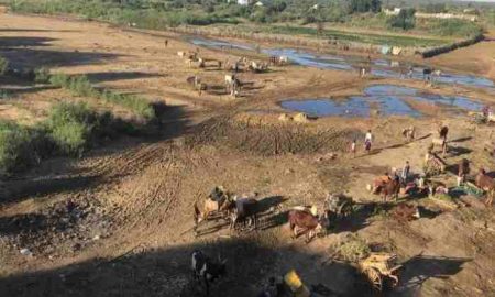 Madagascar : La famine oblige les familles à manger des insectes