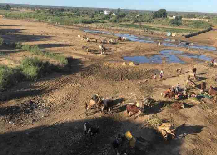 Madagascar : La famine oblige les familles à manger des insectes