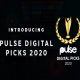 Pulse Picks 2020 présente ses événements de l'année en Afrique
