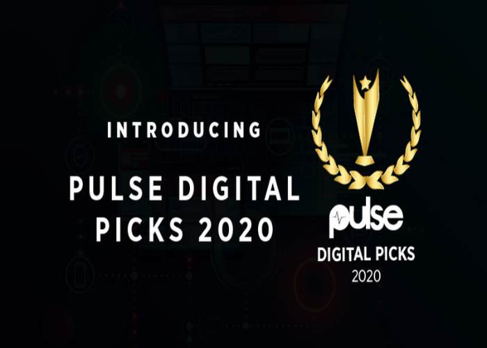 Pulse Picks 2020 présente ses événements de l'année en Afrique