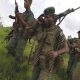 Des dizaines de morts dans l'est de la RDC lors des dernières attaques imputées aux ADF