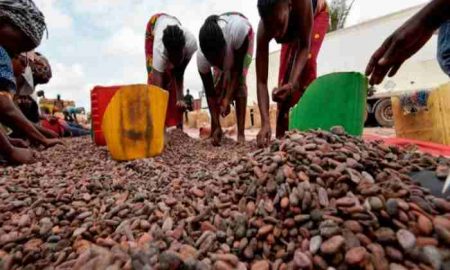 Rwanda: Petits lots de café rwandais Big Punch sur le marché mondial