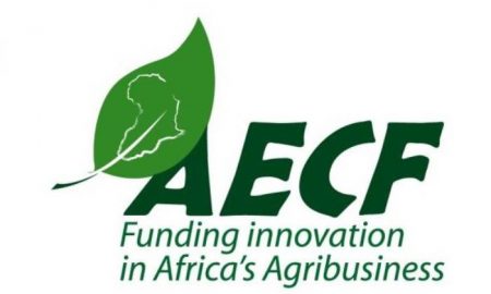 L'AECF lance une subvention de 8,5 millions de dollars pour soutenir les entreprises d'énergie propre en Somalie