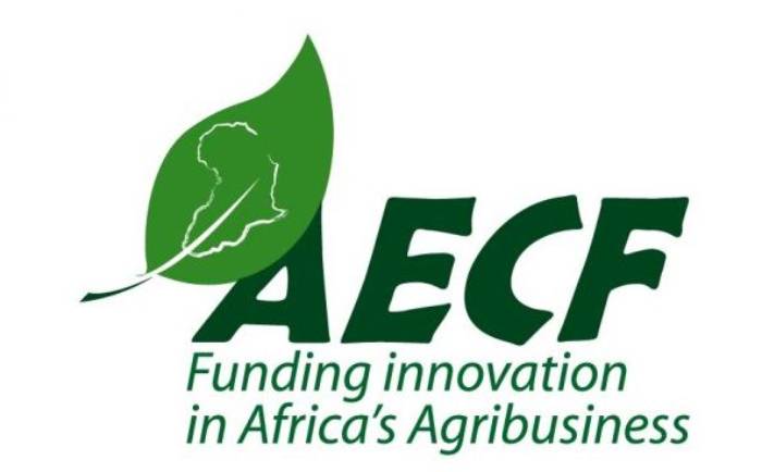 L'AECF lance une subvention de 8,5 millions de dollars pour soutenir les entreprises d'énergie propre en Somalie