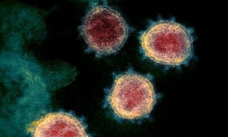 Le gouvernement du Cap-Occidental doit plaider pour les changements drastiques nécessaires pour lutter contre la deuxième vague de coronavirus COVID-19
