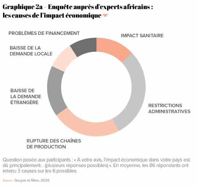 Est-ce que Covid-19 a causé des pertes au capital privé africain ?