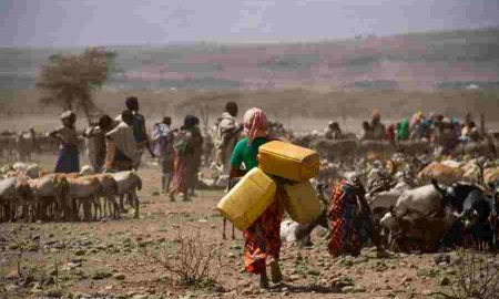 La BAD et ses partenaires organisent un atelier en ligne sur l'amélioration de la sécurité de l'eau dans la grande corne de l'Afrique