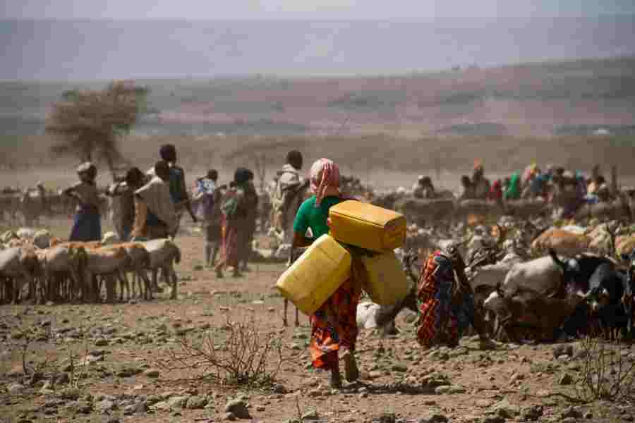 La BAD et ses partenaires organisent un atelier en ligne sur l'amélioration de la sécurité de l'eau dans la grande corne de l'Afrique