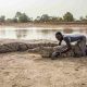 "Crocodile man"... une couverture pour les criminels en Afrique centrale