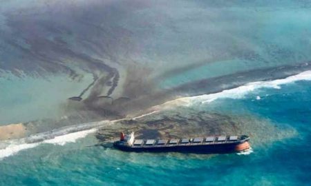 Maurice: Marée noire du navire "Wakashio" et ses répercussions sur l'environnement et l'économie