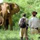 La nature et les safaris sont les grands atouts pour stimuler le secteur du tourisme en Ouganda