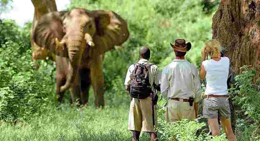 La nature et les safaris sont les grands atouts pour stimuler le secteur du tourisme en Ouganda
