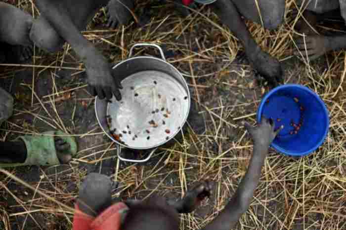 60% de la population du Sud-Soudan souffriront de malnutrition aiguë