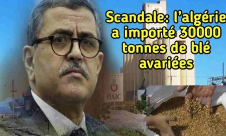 Algérie : 85% des produits importés sont frelatés et cancérigènes