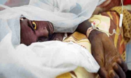 Organisation mondiale de la santé: 172 décès dus à la fièvre jaune au Nigéria