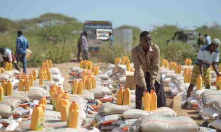 Le cadre juridique du travail des organisations humanitaires en Afrique