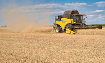 L'Australie se tourne vers les marchés d'Afrique pour vendre sa production de blé