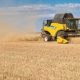 L'Australie se tourne vers les marchés d'Afrique pour vendre sa production de blé