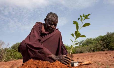 La Banque mondiale prévoit d'investir plus de 5 milliards de dollars dans les zones arides en Afrique