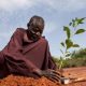 La Banque mondiale prévoit d'investir plus de 5 milliards de dollars dans les zones arides en Afrique