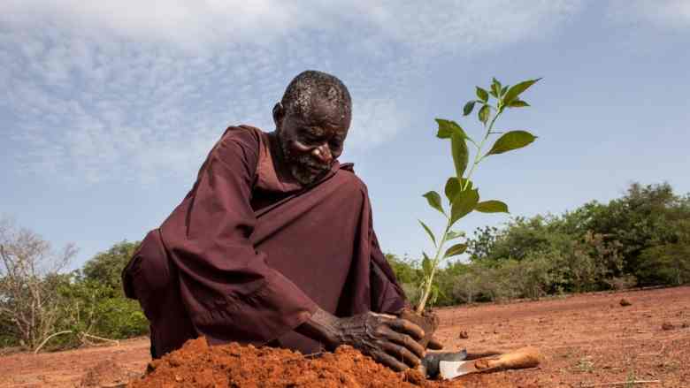 La Banque mondiale prévoit d'investir plus de 5 milliards de dollars dans les zones arides en Afrique
