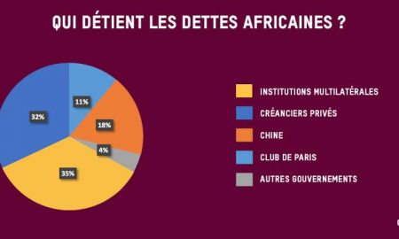 Après la crise Corona...le fardeau de la dette pèse sur les pays en développement en Afrique