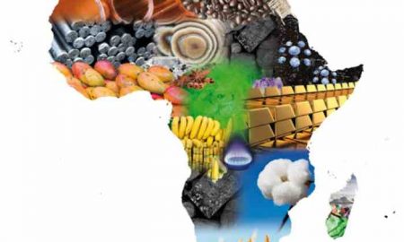 Corona offre des conditions favorables à la reprise des économies émergentes en Afrique