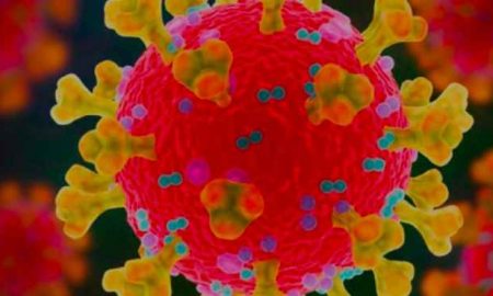 Coronavirus-Gambie: La souche variante du virus SARS-CoV-2 détectée