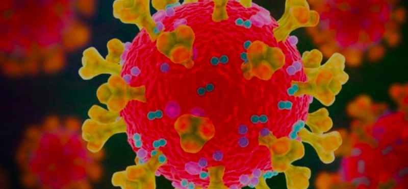 Coronavirus-Gambie: La souche variante du virus SARS-CoV-2 détectée