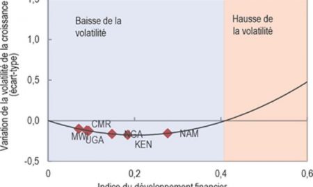 Développement du secteur financier et sa relation avec la croissance économique en Afrique