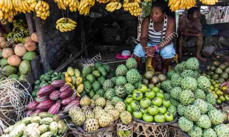 Avec le début de la nouvelle année, le lancement des travaux dans un marché africain unifié