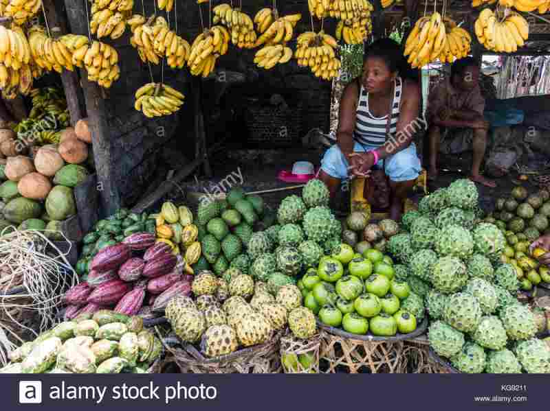 Avec le début de la nouvelle année, le lancement des travaux dans un marché africain unifié