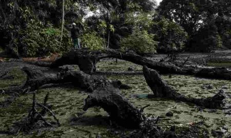 Shell devra endomager les agriculteurs nigérians pour les déversements d'hydrocarbures