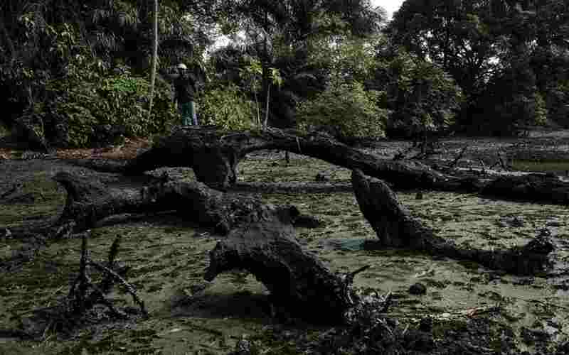 Shell devra endomager les agriculteurs nigérians pour les déversements d'hydrocarbures