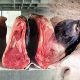 L'Algérie arrête d'importer de la viande rouge et encourage la consommation de viande d'âne