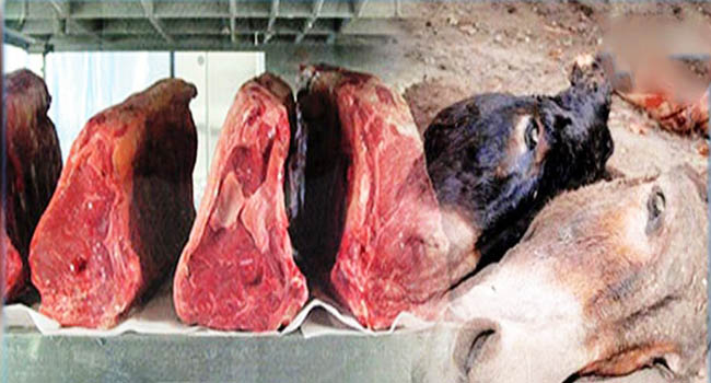 L'Algérie arrête d'importer de la viande rouge et encourage la consommation de viande d'âne