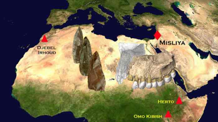 L'orbite de la Terre autour de l'Afrique du Nord est passée du vert à la sécheresse il y a 160000 ans