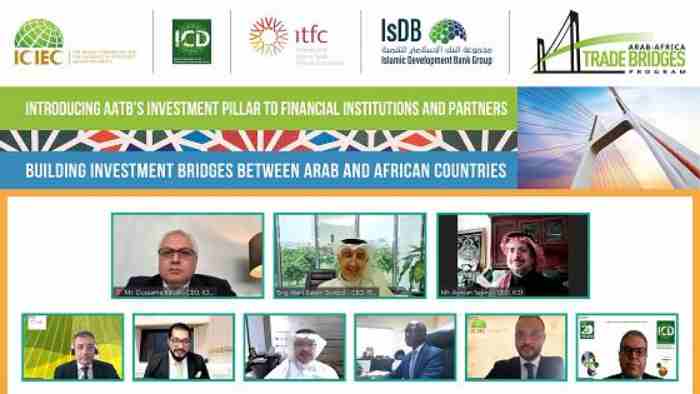 Plus de 1000 parties prenantes financières participent au webinaire sur le programme d’investissement Arabo-Afrique