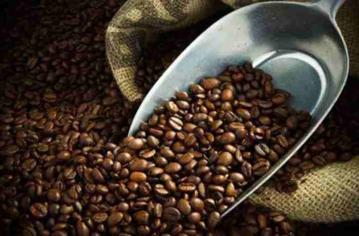 Grâce au beau temps, les exportations de café ougandaises explosent en 2021