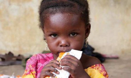 FG et l'ONU pour assurer des changements économiques et positifs dans les systèmes alimentaires du Nigéria