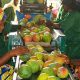 IFC prête le CEDIAM pour soutenir les exportations de mangues au Mali