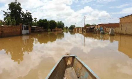 La MINUSS et ses partenaires visitent Bor et Panyagor pour discuter de solutions durables aux inondations