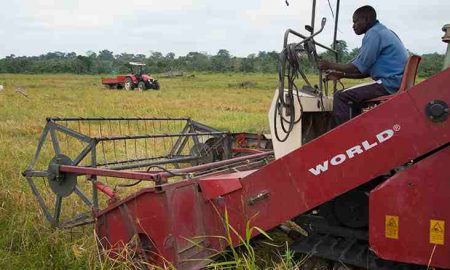 Semer les graines de l'agriculture industrielle au Mozambique