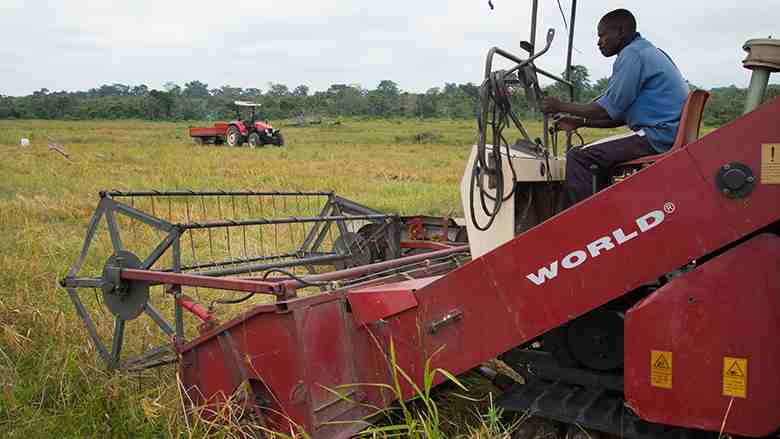 Semer les graines de l'agriculture industrielle au Mozambique
