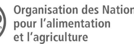 Le PAM renforce les compétences communautaires dans les centres urbains du Zimbabwe avec le soutien de la DDC