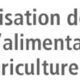 Le PAM renforce les compétences communautaires dans les centres urbains du Zimbabwe avec le soutien de la DDC