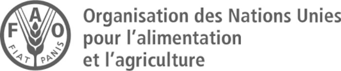 Le PAM renforce les compétences communautaires dans les centres urbains du Zimbabwe avec le soutien de la DDC